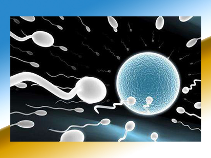 烈冰助力 ▏通過(guò)微量細(xì)胞的RNA-Seq和甲基化分析揭示早期雌性生殖細(xì)胞的分子特征