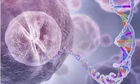 烈冰助力snRNA-Seq||震驚！凍存樣本也能做單細(xì)胞？
